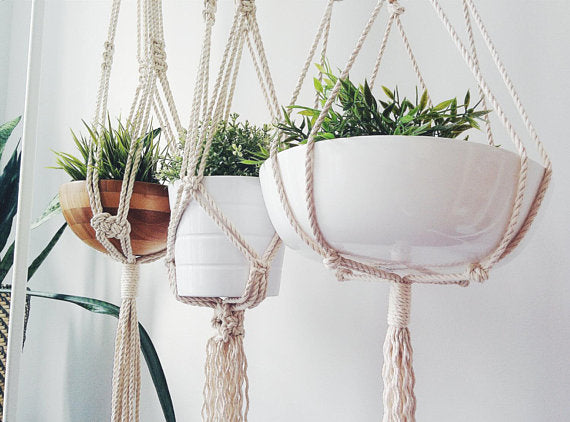 Macrame Plant Hanger